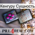 Кенгуру Сущность 38